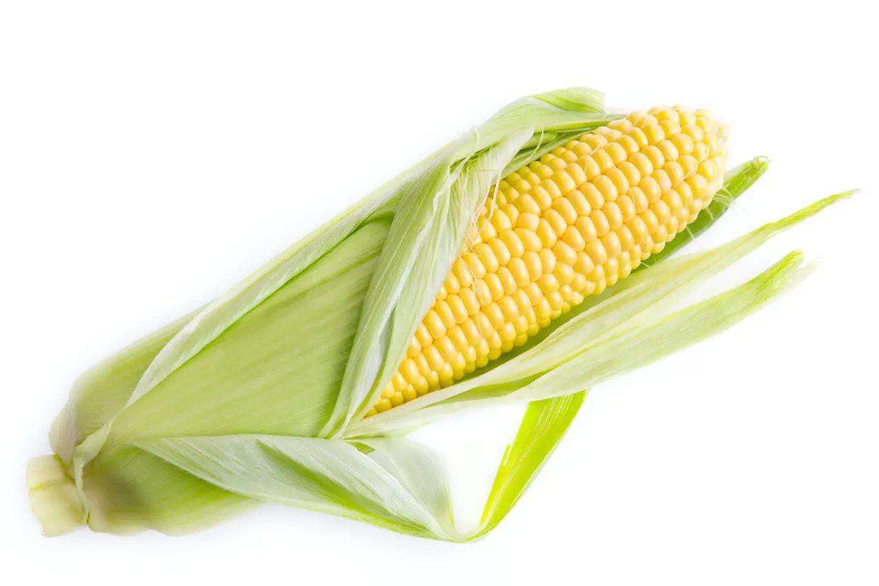 Is Eating Cornstarch Bad For You? [2023 Updated!]