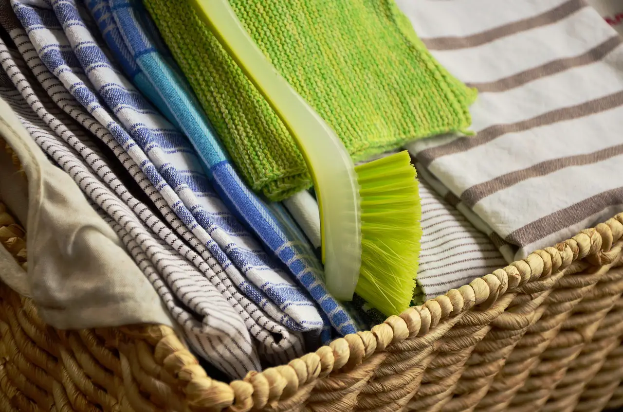Are Dishcloths Better Than Sponges? [4 Points]