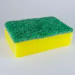 Are Sponges Toxic? [2 Factors]
