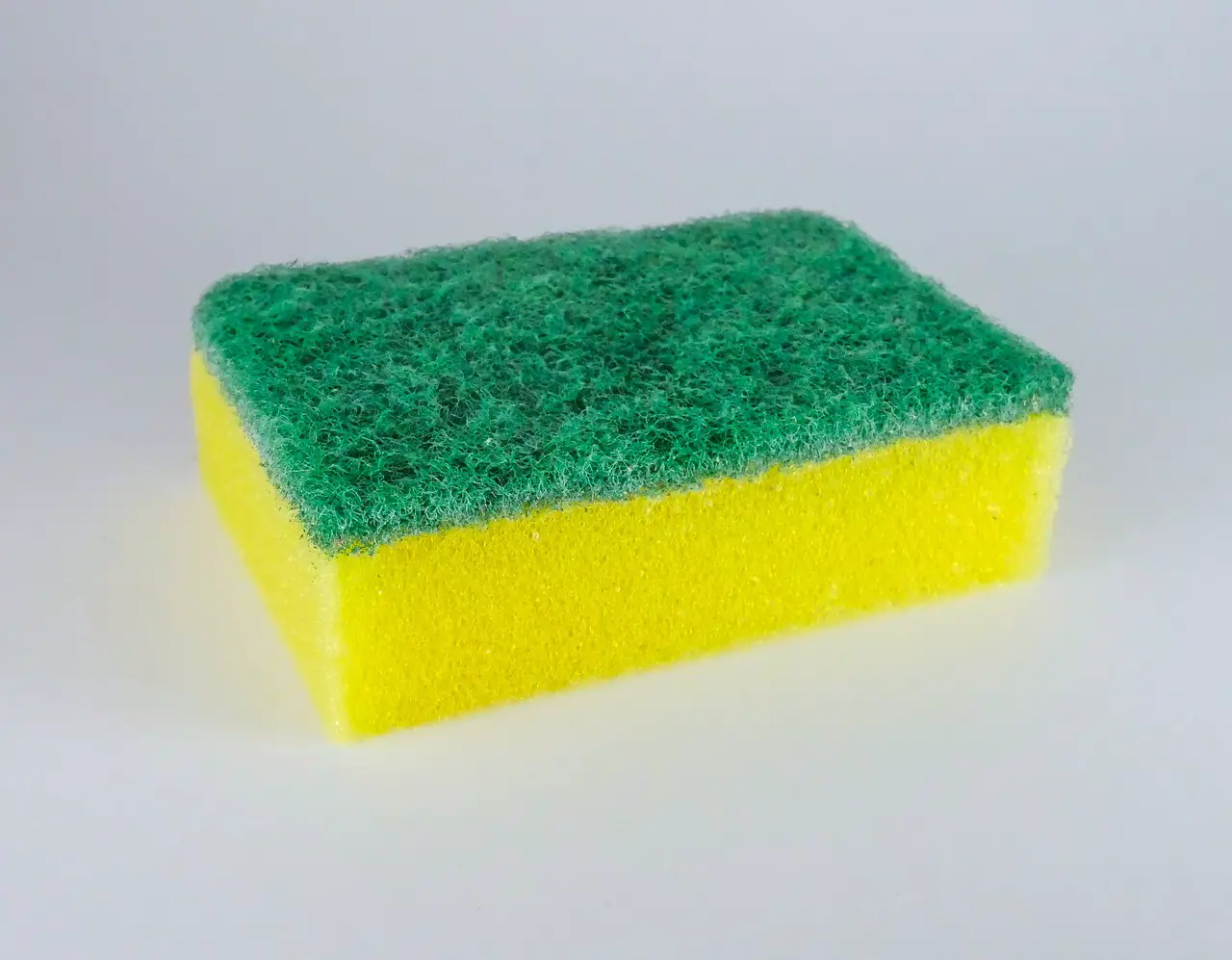 Are Sponges Toxic?